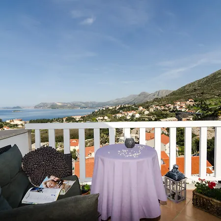 Pansion Arte Zvrko